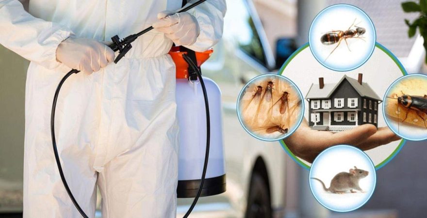 Mamak Böcek İlaçlama