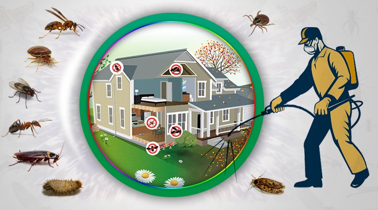 Mamak Böcek İlaçlama