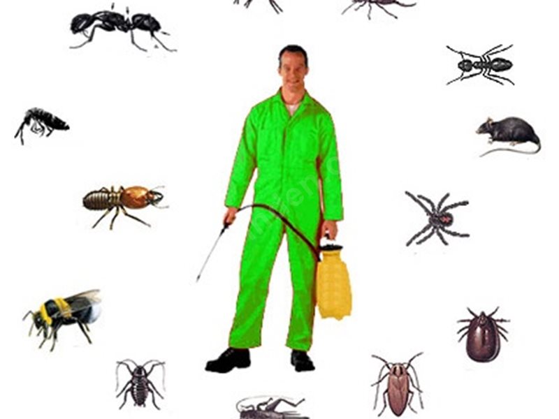 Mamak Böcek İlaçlama